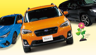 SUBARU フレッシュキーパー