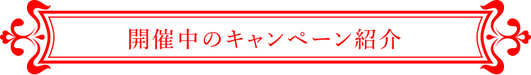 開催中のキャンペーン紹介