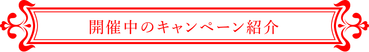開催中のキャンペーン紹介