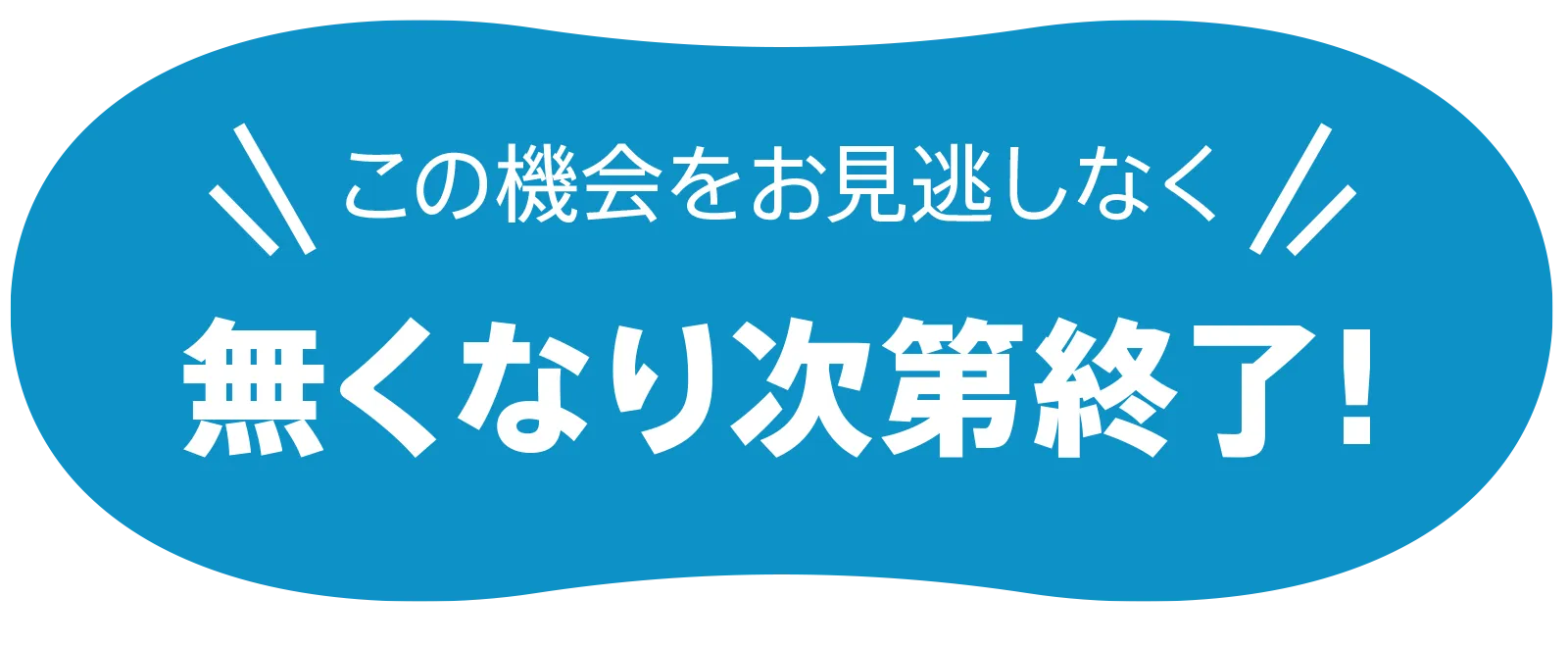 無くなり次第終了！この機会をお見逃しなく！！